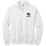 Curry College NuBlend 1/4-Zip Cadet Collar Sweatshirt