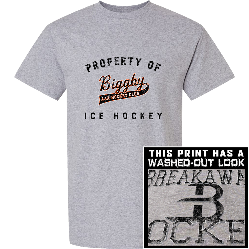 Biggby AAA Premium Short Sleeve Tee