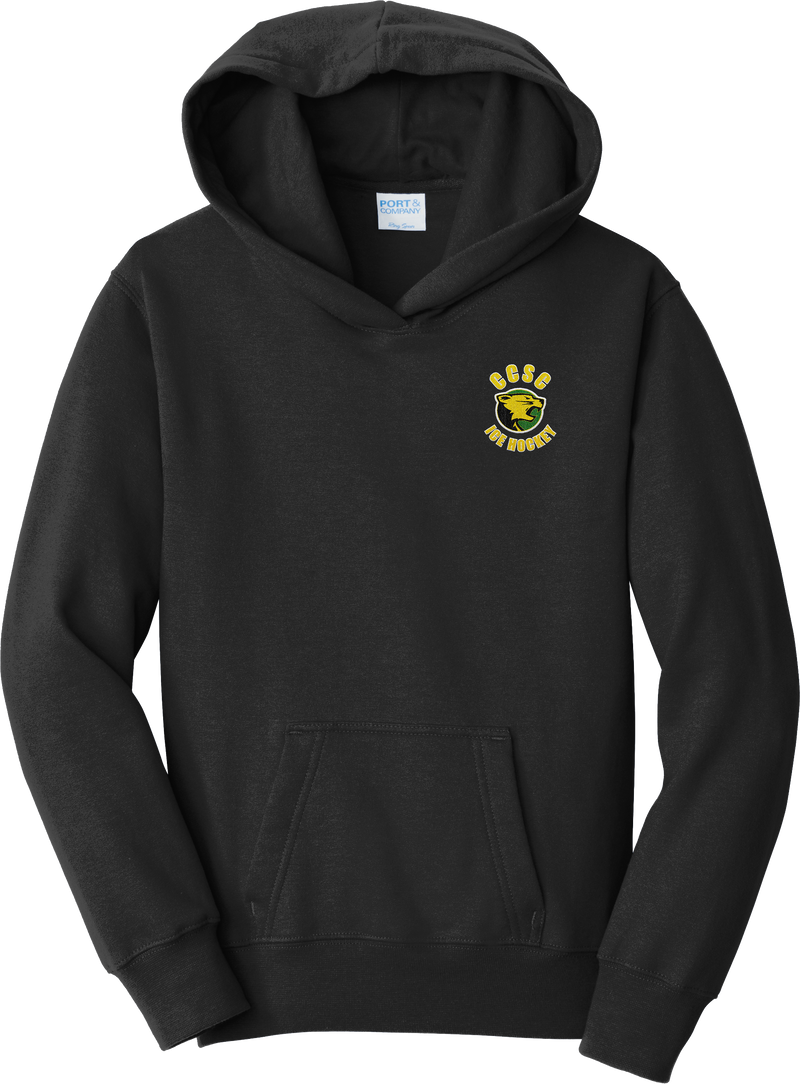 Chester County Youth Fan Favorite Fleece Pullover Hooded Sweatshirt